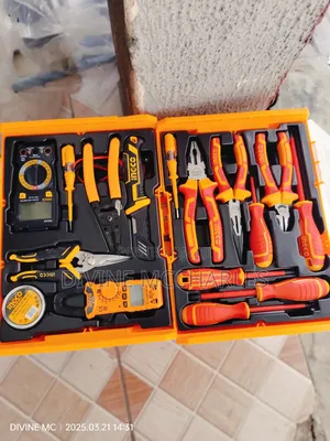 Ingco Cos23025 – Electrician’S Tools Set
