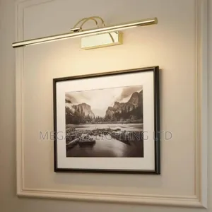 Gold Led Vanity Wall/Mirror Light