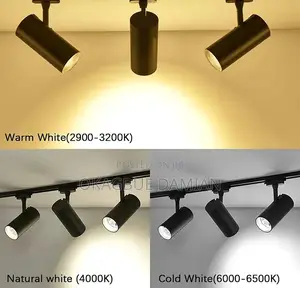 Track Light Both Black and White Body