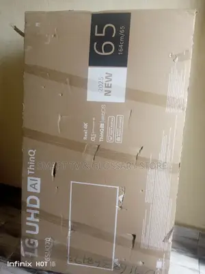 65 Inches Insulation With Netflix Tv