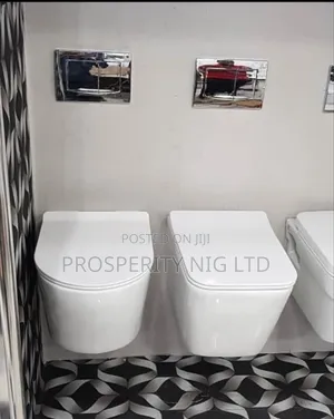 Wall Hung Conseal Wc