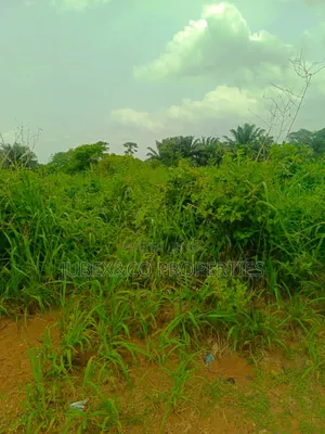 A Plot of Land at Iyana Iyesi