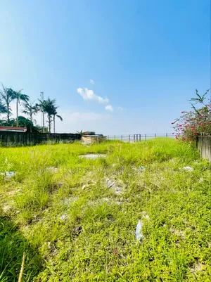 Bare Land Up for Sale
