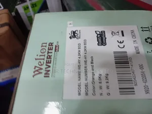Welion Inverter 4.2kwh 12v