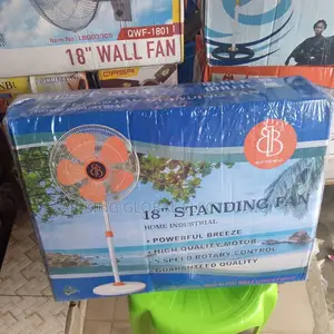 Bb Standing Fan 18inch Buy the Best