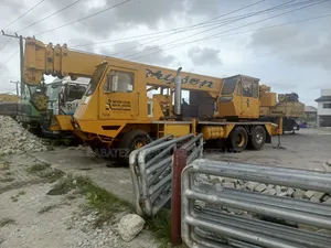30 Tons Motor Crain