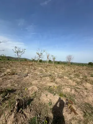 41 Acres at Eroomo Area Along Otu Road Ipapo Itesiwaju Lga