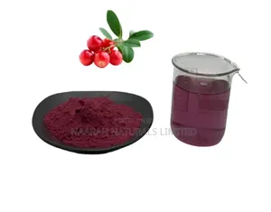 Bilberry Powder - 250g