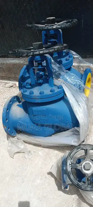 Spirax Sarco Dn200 Valve
