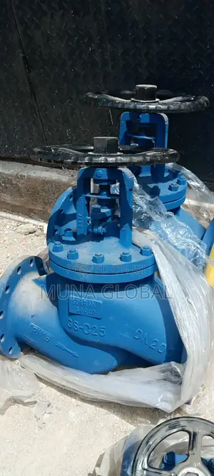 Spirax Sarco Dn200 Valve