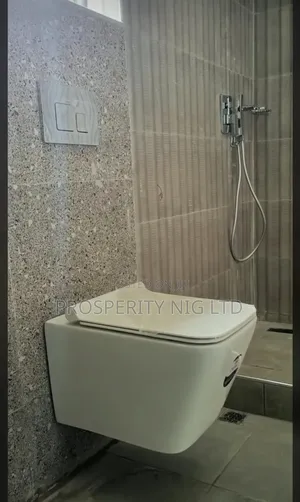 Wall Hung Condict Toilet