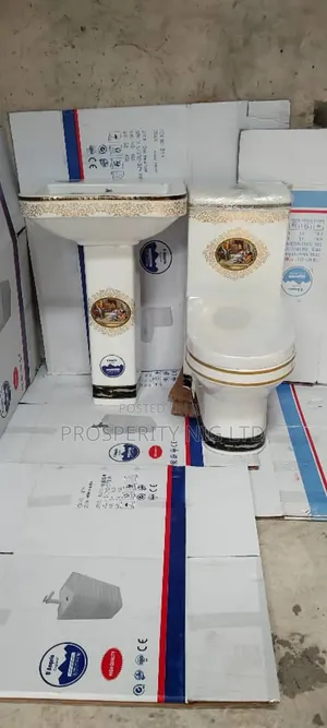 Luxury Top Flush Toilet