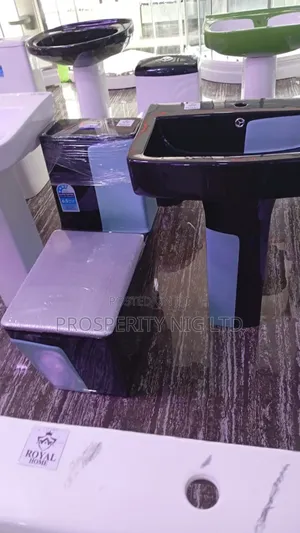 Black and Blue Luxury Toilet