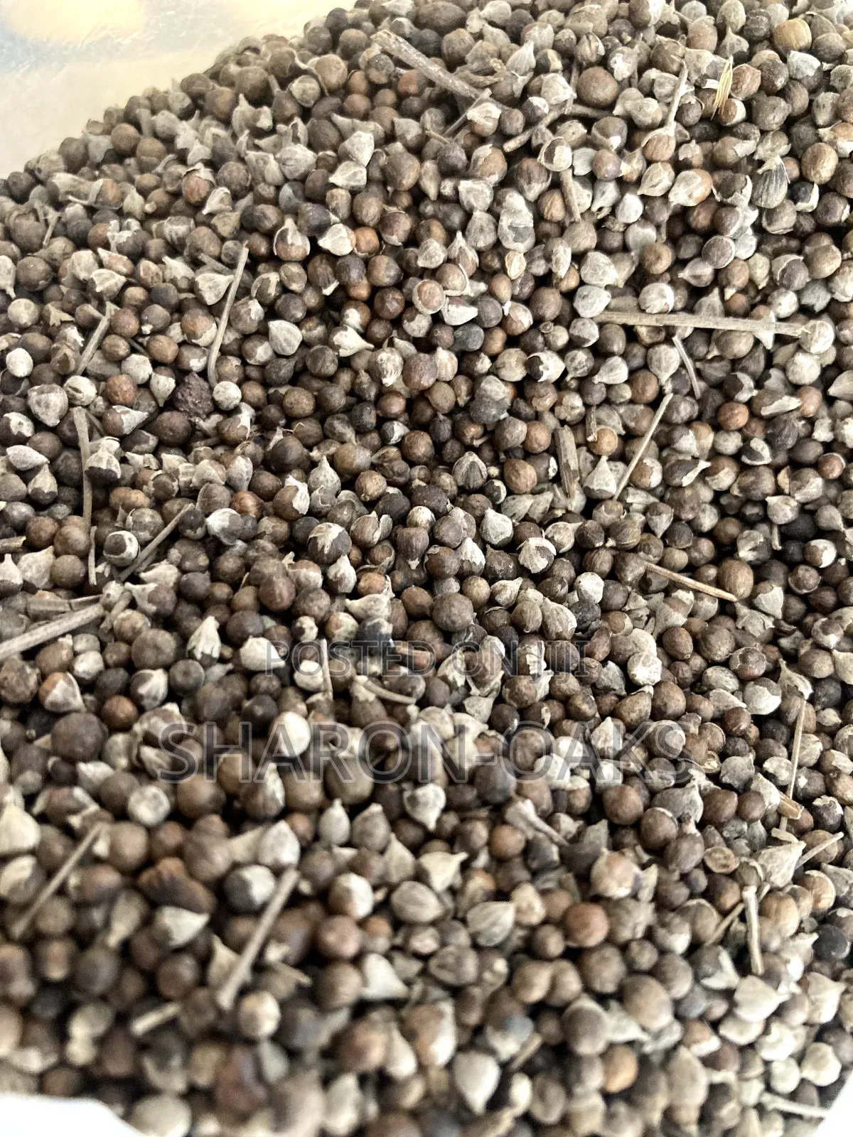 Vitex Chasteberry Seed 1kg