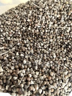 Photo - Vitex Chasteberry Seed 1kg