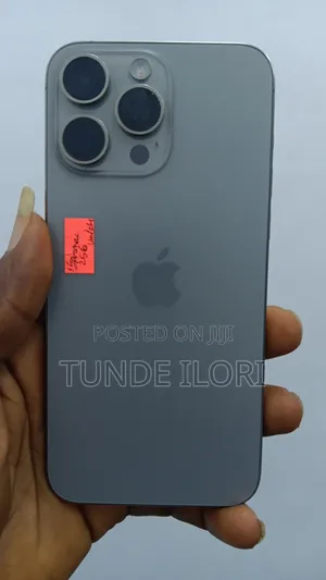 Apple iPhone 15 Pro Max 256 GB Gray
