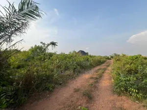 Photo - A Plot of Land for Sale Is 50/100 Surveys,Recipes Available