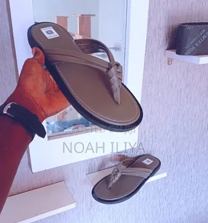 Slippers Palms