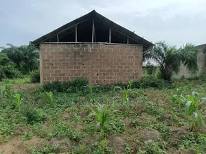 Half Plot of Land for Sale 30 by 120