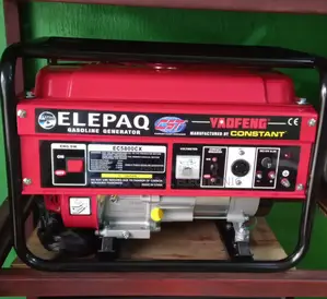 3kva Constant Elepaq Generator