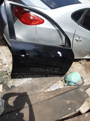 Toyota Rav4 2008 Model Front Door Right Side
