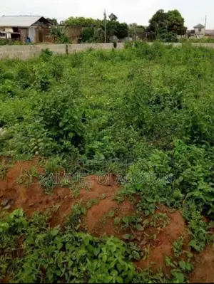 A Plot Of Land For Sale