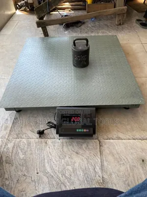 Photo - 1miter by 1miter Platform Scale