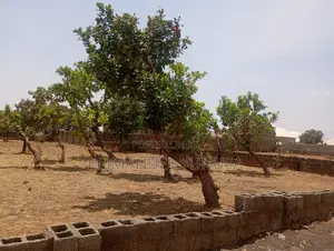 1000 Square Meters of Land for Sale at Affordable Rate