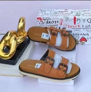 Brown Lv Slippers (Fendi) 
