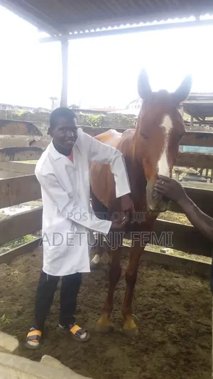 Veterinary Home Services