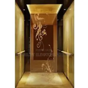Automatic Stainless Steel Passenger Elevator,