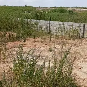 Multi-Purpose Land