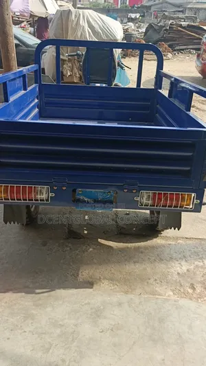 New Tricycle 2024