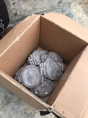 Foreight Lawyer Wig And Grown For Sell