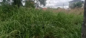 One and Half Plot of Gazzeted Dry Land for Sale
