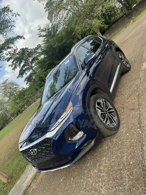 Hyundai Santa Fe 2020 Blue
