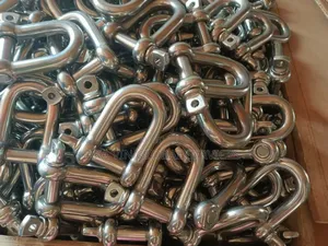 10mm Stainless Steel D-Shackle