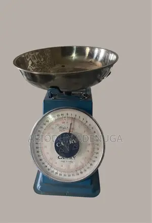 Photo - Commercial Weighing Scale