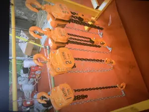 2tons Original Chain Block