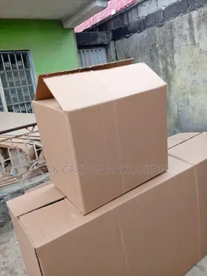 Big Carton Moving Box