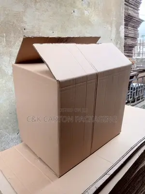 Big Carton Moving Box