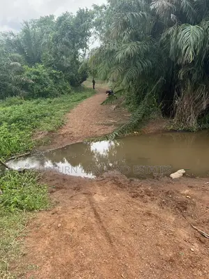 206,000 Acres of Land for Sale at Cheaper Rate in Ogun State