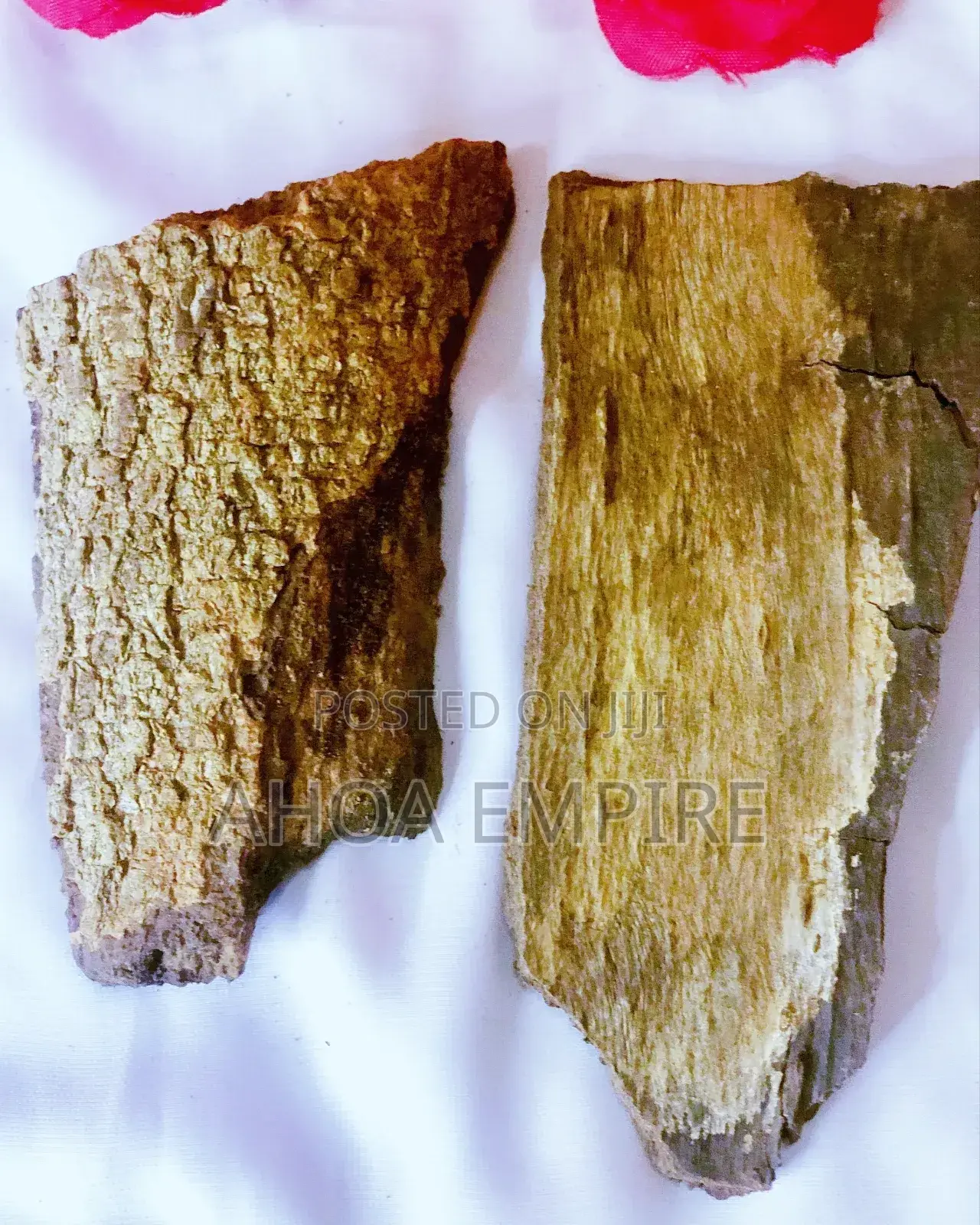 Epo Obo Bark/Anti Witchcraft