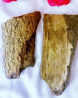 Epo Obo Bark/Anti Witchcraft