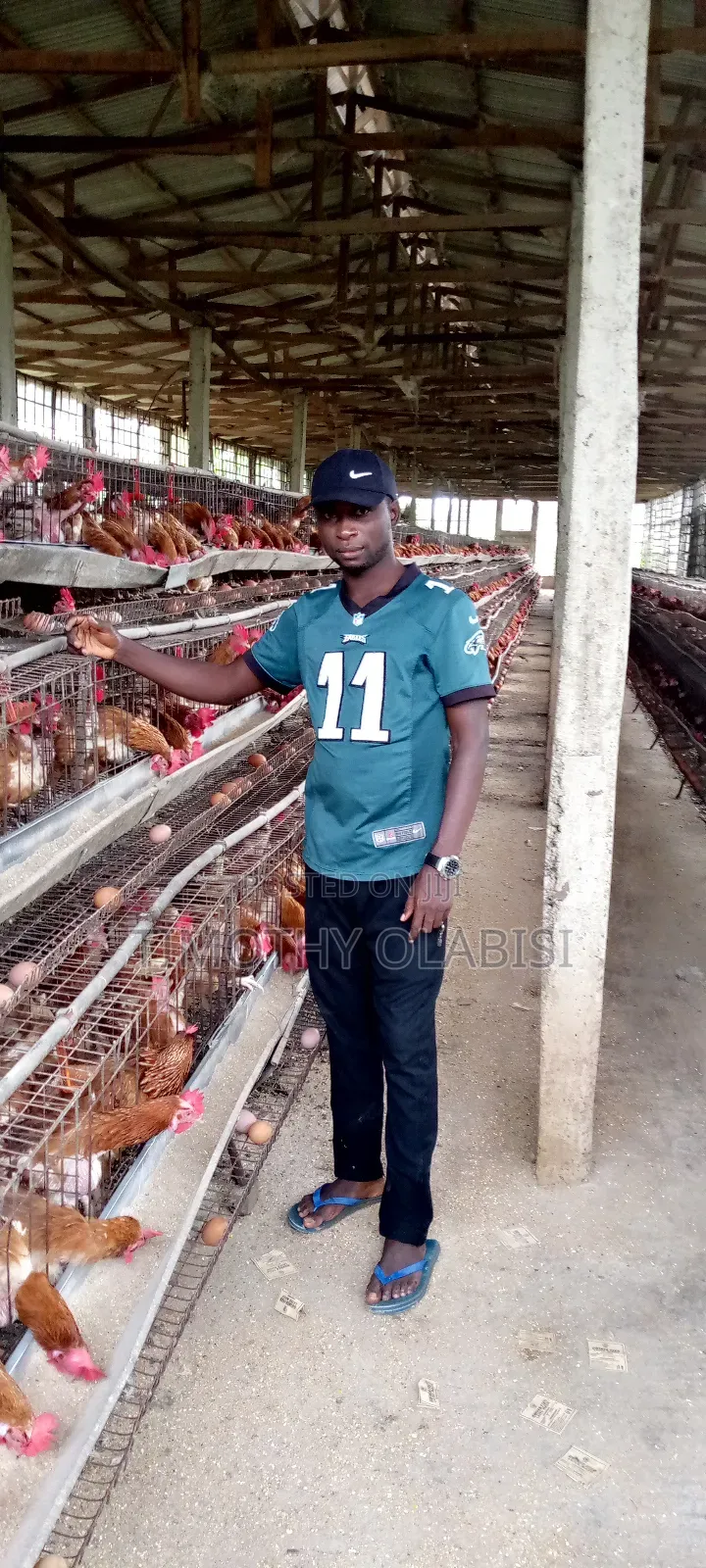 Experienced Poultry, Feedmill and Fish Farm Manager