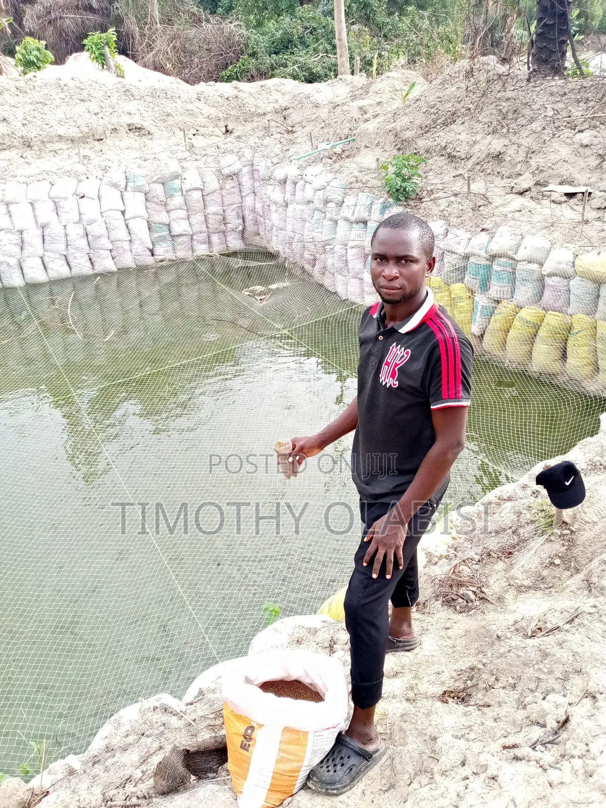 Experienced Poultry, Feedmill and Fish Farm Manager