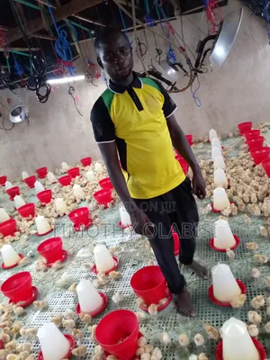 Experienced Poultry, Feedmill and Fish Farm Manager