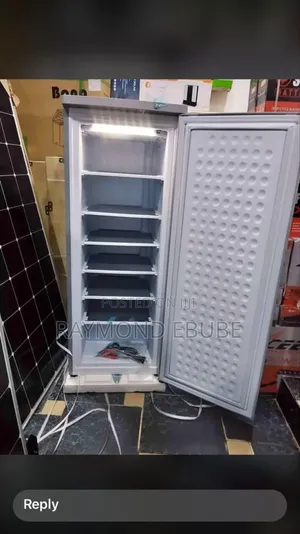200 Liters for Ice Blocking Only Upright Standing Freezer