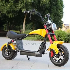 Photo - Luxury Electric Bicycle