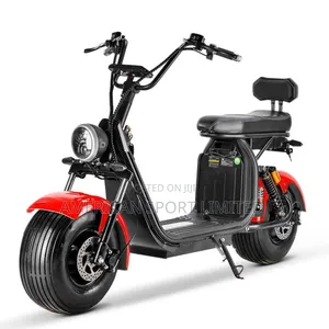 Luxury Electric Bicycle Brand New